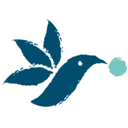 OHANA Akademie | AVGS-Job- und Gründungscoaching | Karrierecoaching | Lifecoaching