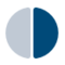 Life & Brain GmbH