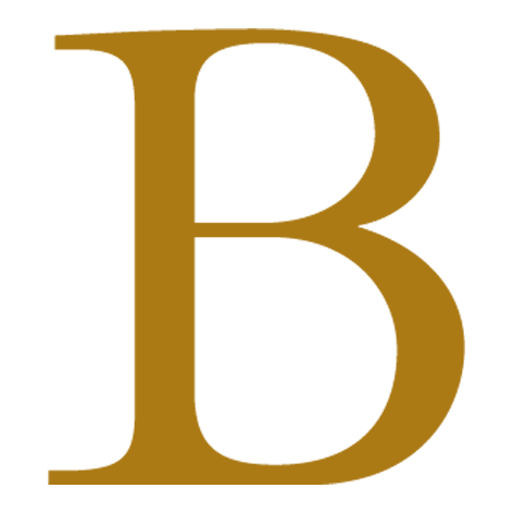 BALZER & Co. GmbH