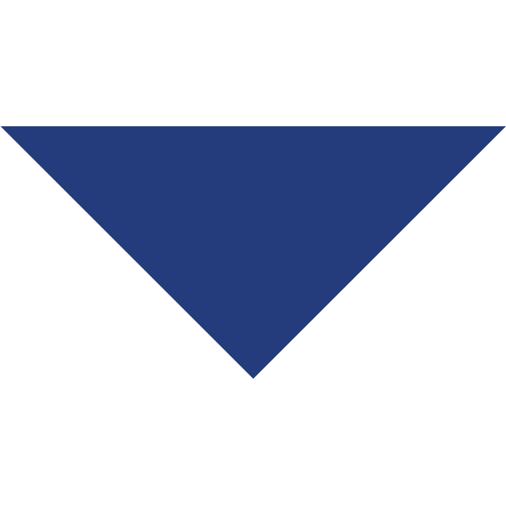 CARAT Systementwicklungs- und Marketing GmbH & Co. KG