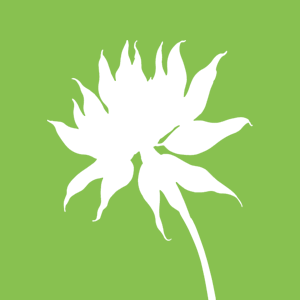 sasa med GmbH